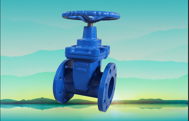 德標(biāo)F4彈性座封閘閥